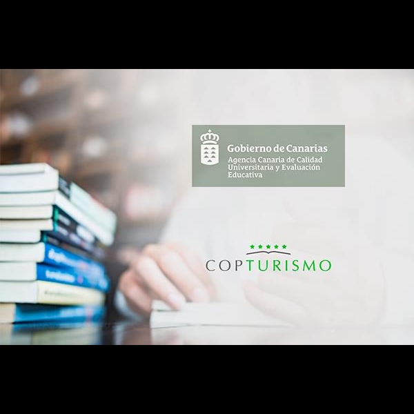 Participación en la Comisión Técnica de Valoración de la Agencia Canaria de Calidad Universitaria y Evaluación Educativa (ACCUEE)